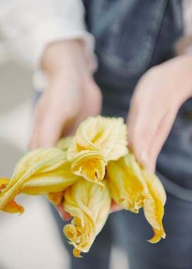 Courgette flowers in hand