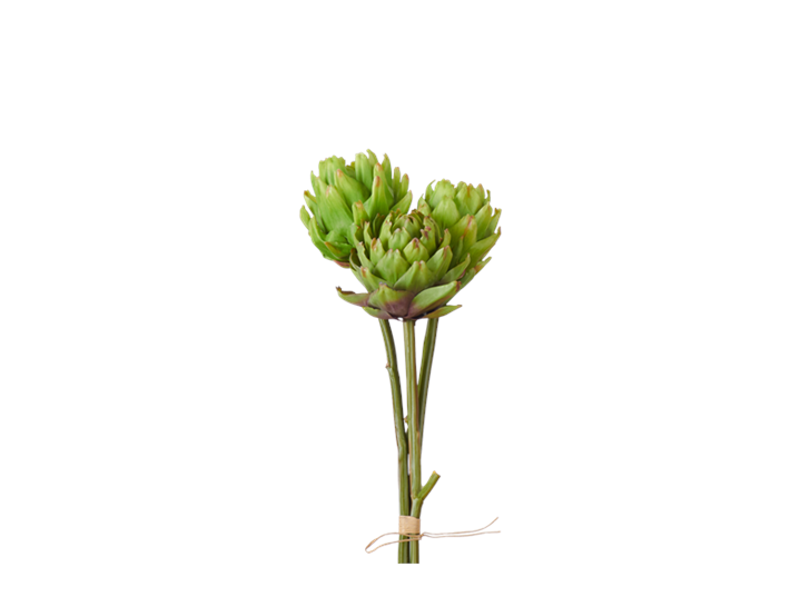 Artichoke Bunch_Square