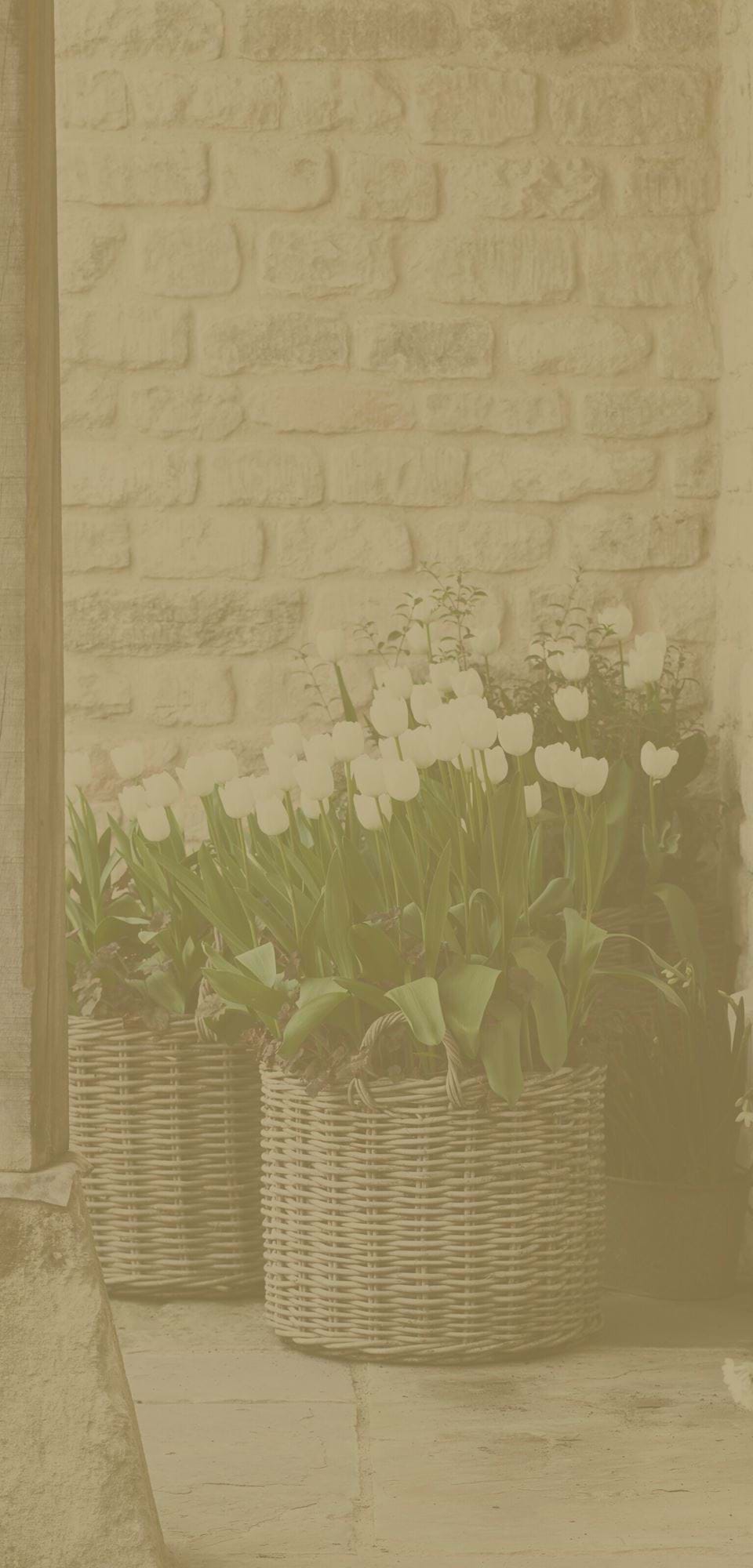 Large-BASKETS_026