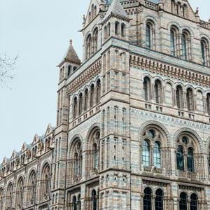 leonor-oom-8tfefr5wuhw-unsplash