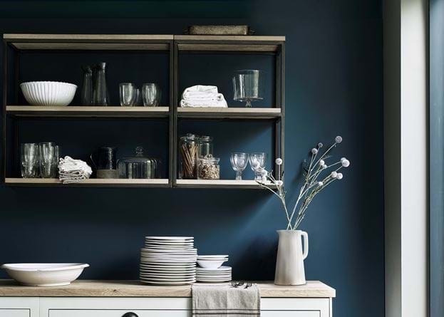 CARTER_SHELVES_CORINIUM_015_2