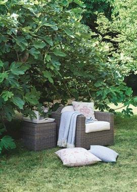 Tresco Armchair and Coleton Side Table_Secret Garden