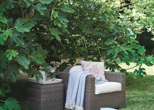 Tresco Armchair and Coleton Side Table_Secret Garden