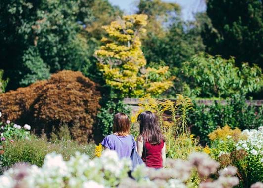 The-Botantic-Garden-at-Winterbourne-House-Garden-79