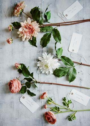 SS21 Floral Stems 02