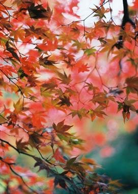 stocksy_txp111c5ce8y16200_small_1773381
