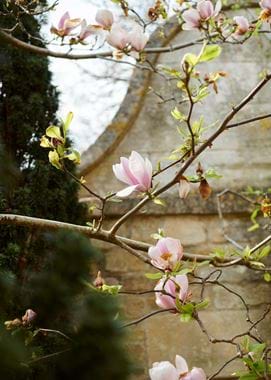 BELCOMBE_COURT_GARDEN_DETAILS_080