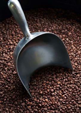 Clifton Coffee_24