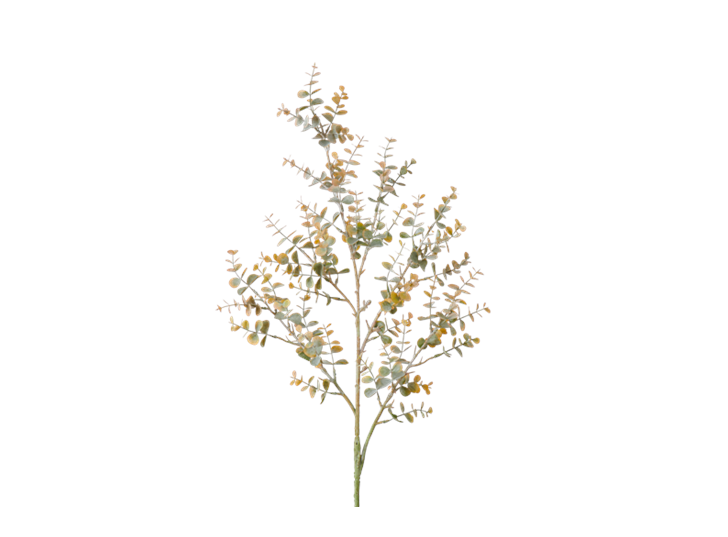 Eucalyptus Mini Spray_Russet_Square