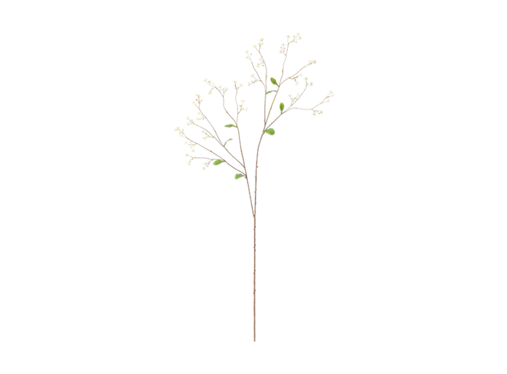 Gypsophila Twig_White_Front