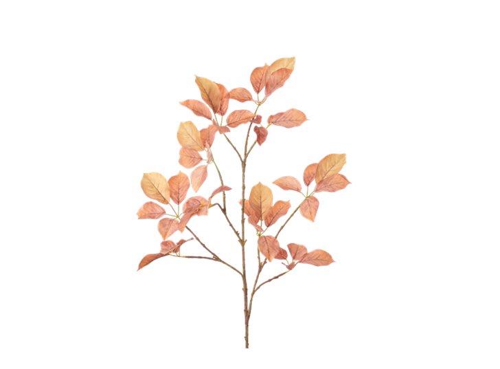 Beech Spray_Burnt Orange_Square