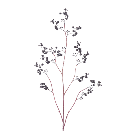 Berry Twig_Damson_Square