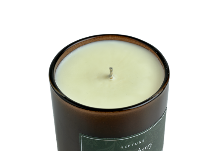 Winterberry Candle, Spiced Orange and Red Berry D