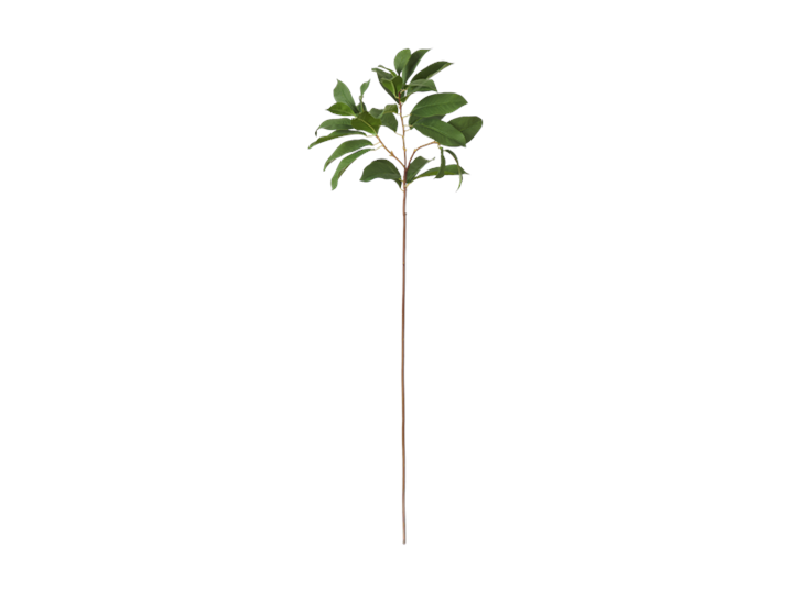 Laurel Leaf_Front