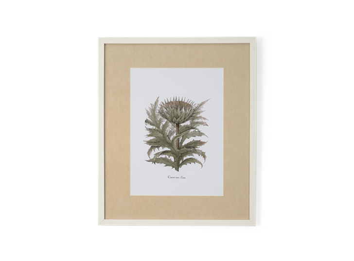 Clipsham Botanical Art - 6 - front