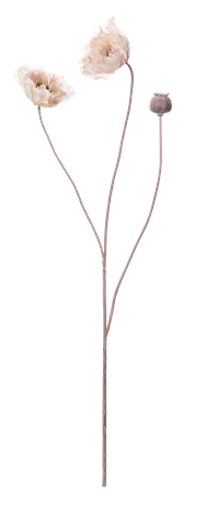 Poppy Stem_Dusky Pink_Front