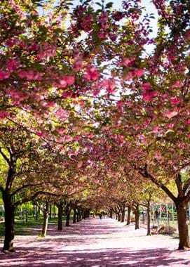 pascale-amez-e1xyzk0osti-unsplash