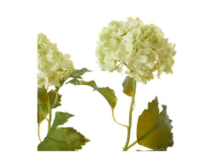 Snowball Stem_Green_Detail
