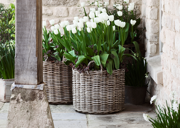 Somerton medium round Log Basket