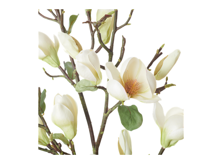 Magnolia Spray_Green_Detail