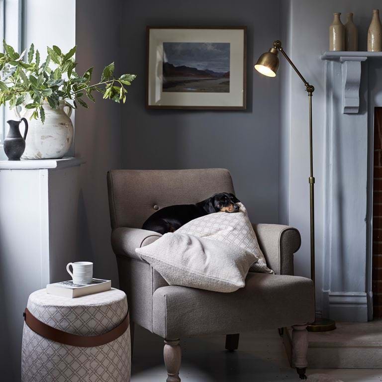 WILLIAM_ARMCHAIR_HUGO_BUCKWHEAT_125737_DACHSHUND