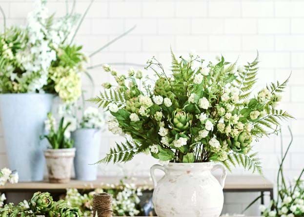 Lady green fern