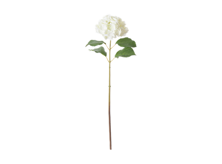 Hydrangea Stem_White_Front