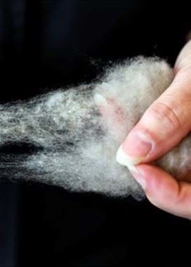 Todd & Duncan factory