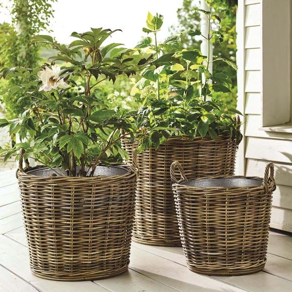 SS20_PLANTERS_004