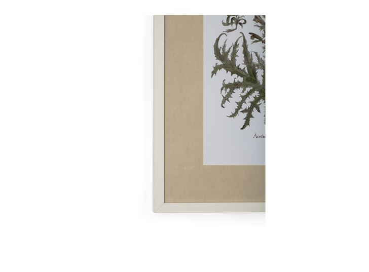 Clipsham Botanical Art - 5 - detail