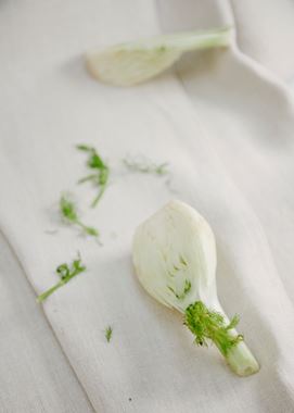 Fennel