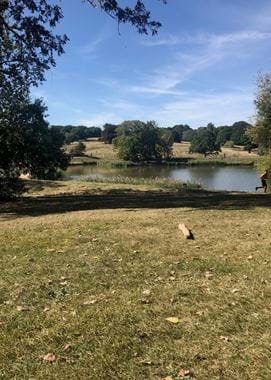 Hampstead Heath
