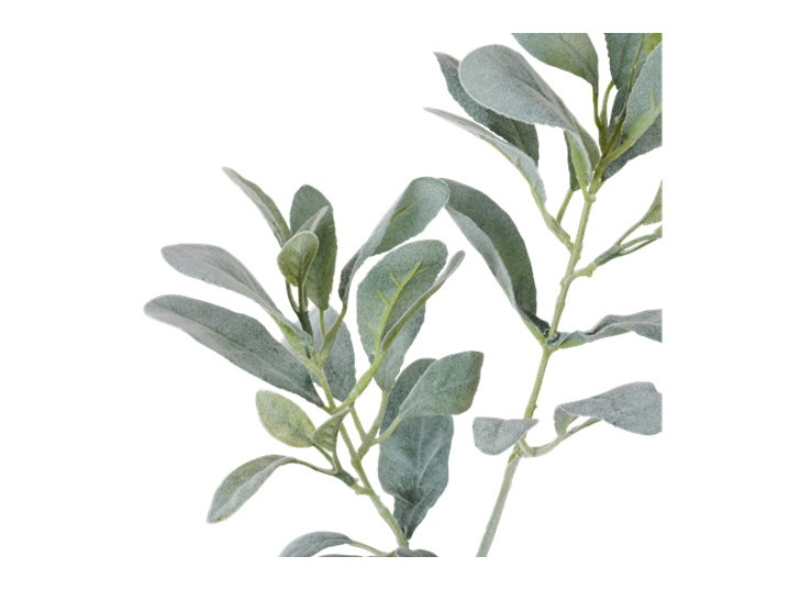 Sage Leaf Spray Green_Detail