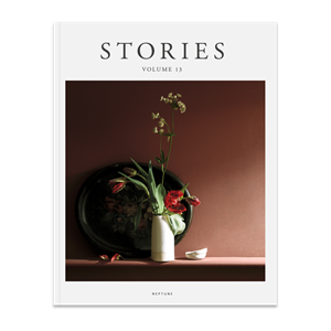 STORIES 13_Cover visual