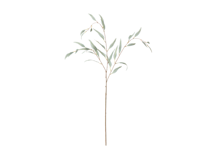 Olive Branch_Green_Front