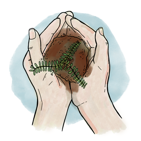Our green plan - Planting_Trees