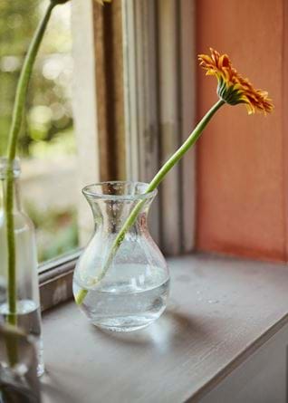 SUMMER_BUD_VASES_038_Retouched_WoF
