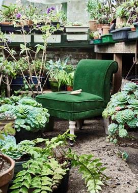 Greenhouse Madeleine tall