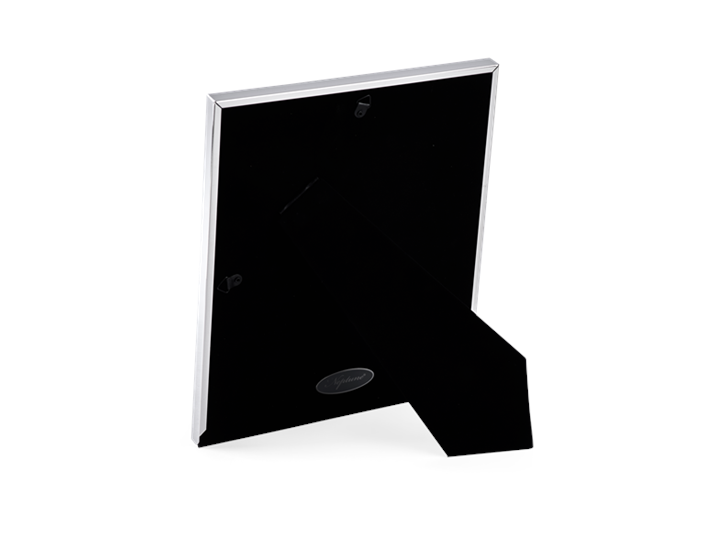Newton 6x8 Silver Plated Photo Frame 3