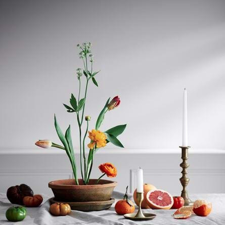 Stories 13_Still life__10