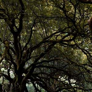 Touch Story - Faraway Farm  18