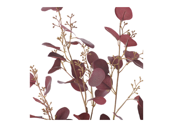 Eucalyptus Stem_Burgundy_Detail