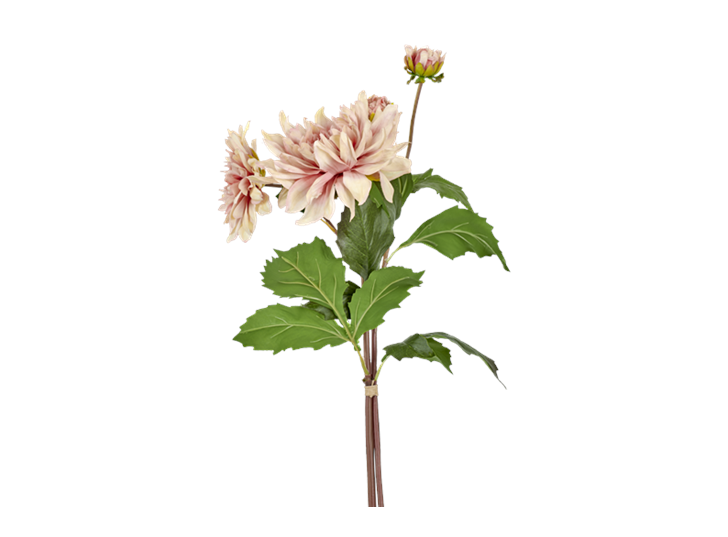 Dahlia bundle soft pink_detail