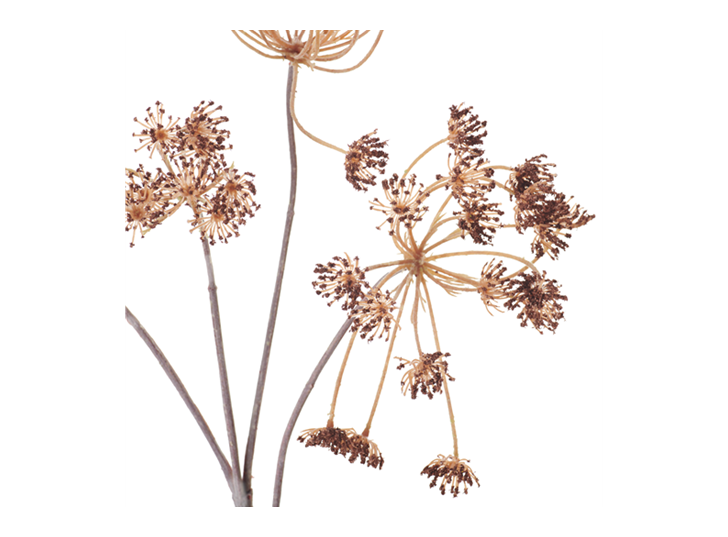Artificial Russet Queen Anne S Lace Stems Neptune