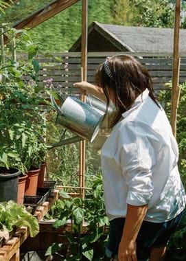 Kirsty's Vegetable Garden-49