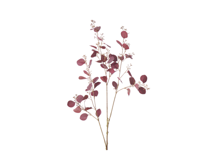 Eucalyptus Stem_Burgundy_Square