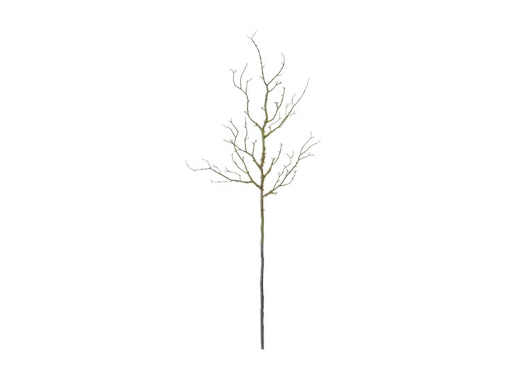 Twig Moss Brown and Green_Front