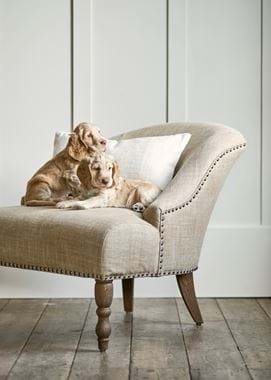 SS20_AUDREY_PUPPY_086