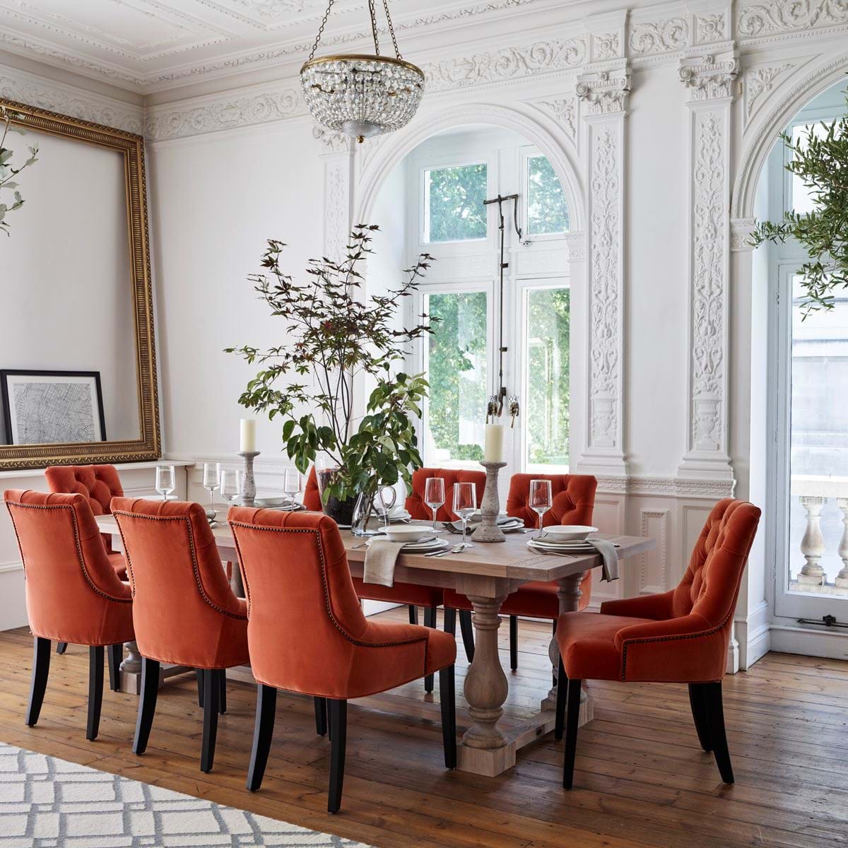 Collections | Neptune