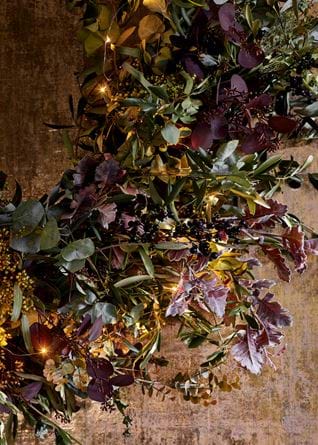 Berry damson twig